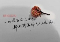 情感伤感的说说，诉说内心的无声悲伤