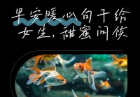 朋友圈早安说说情感：早安心情语录，温暖你的每个清晨