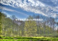 快手街头搭讪id,七夕如何表白