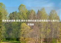 寡养单胞菌属 脱氮,高中生物的化能合成究竟指什么有什么生物具