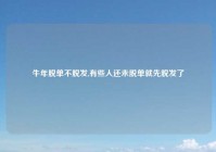 牛年脱单不脱发,有些人还未脱单就先脱发了