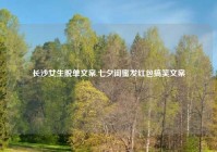 长沙女生脱单文案,七夕闺蜜发红包搞笑文案