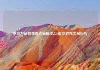 男朋友惊喜花束文案搞笑,520收到鲜花文案短句