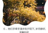 中年岁月的温情告白：关于中老年人情感的真实感悟