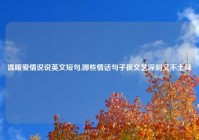 温暖爱情说说英文短句,哪些情话句子很文艺深刻又不土味