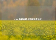 CSGO 帐号申请全流程深度剖析