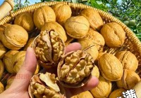 新疆阿克苏纸皮核桃2022年新品怎么买划算？