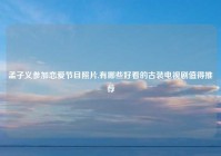 孟子义参加恋爱节目照片,有哪些好看的古装电视剧值得推荐