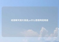 或者聊天照片英语,plz什么意思网络用语