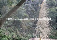 个性签名2018,Windows电脑上有哪些值得推荐的软件