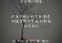 情感空间说说大全：温暖心灵的文字分享