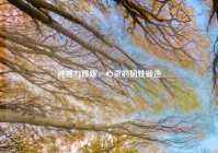 钝感力修炼，心灵的韧性锻造