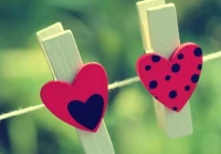 爱情句子图片(真的有圆满的爱情吗)