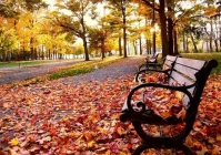 鼓励人的暖心话语(鼓励女友的暖心话)