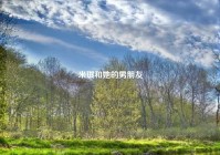 米琪和她的男朋友