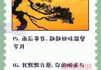 离职后的心情感悟：轻松与不舍并存的离别说说