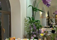 第一次一对约会要注意什么？这些细节别忽略！