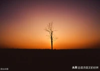 伤感又痴情的诗句(表达悲伤悔恨诗句)