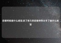 恋爱时候是什么感觉,谈了很久的恋爱突然分手了是什么感受