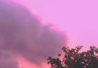 伤感语录扎心情感素材(2019年你听到的哪一句话是最扎心的)