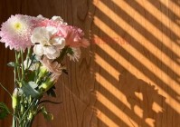 宁晋婚介网：邂逅理想伴侣，开启美好婚姻生活