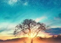 个性签名励志经典短句八个字(可以分享一些关于德云社的励志句子吗可以贴在桌子上的那种)