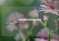王者荣耀打野英雄全盘点