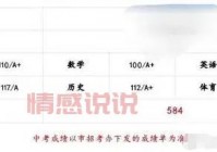 深圳招考网毕业审核最新动态：查询结果、发证时间与注意事项