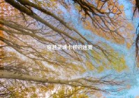 穿越灵魂卡顿的迷雾