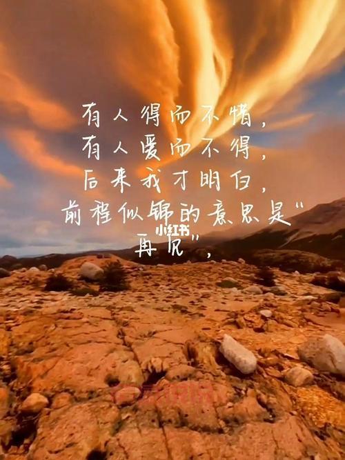 句句戳中你的情感软肋（那些让人泪流满面的情感文案）