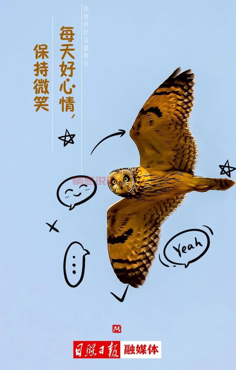 好心情，像阳光一样灿烂（微笑是最好的礼物，送给每一天）