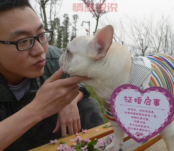 想脱单？个人征婚启事帮你找到TA