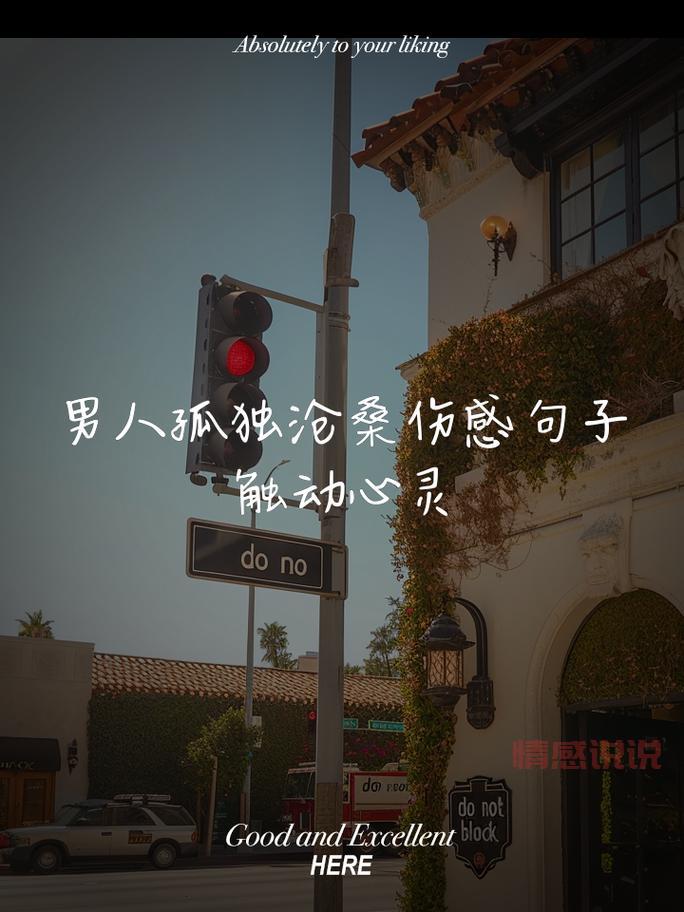 男生伤感签名短句：孤独与烈酒，只为掩饰心痛