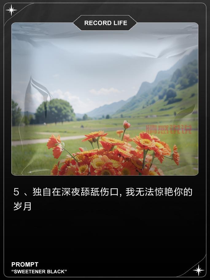 一个人久了的伤感短句（习惯了独自疗伤）