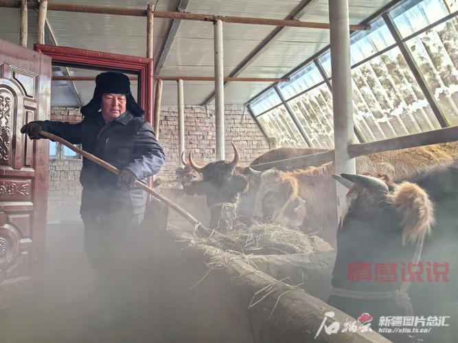 南昌本地生活论坛：汇聚南昌百姓，分享生活乐趣