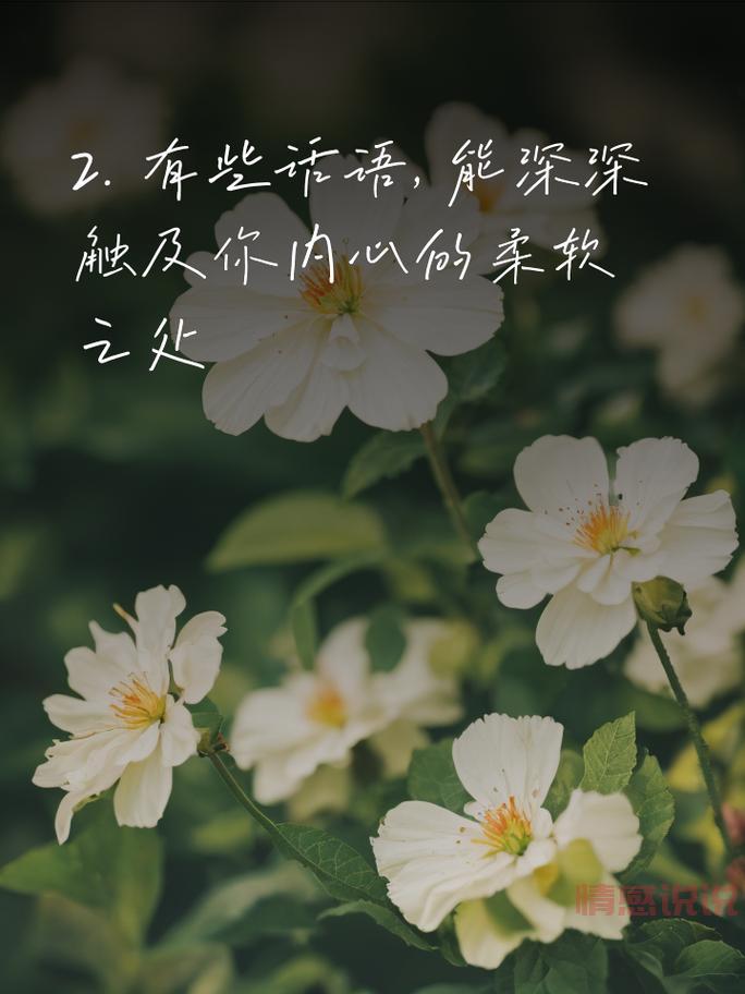 抒发心情的短句大全，走进情感深处