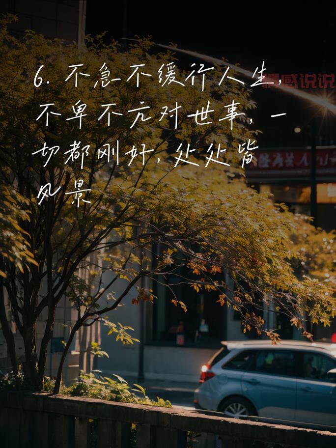 情感说说心情短语：触动心灵的文字分享