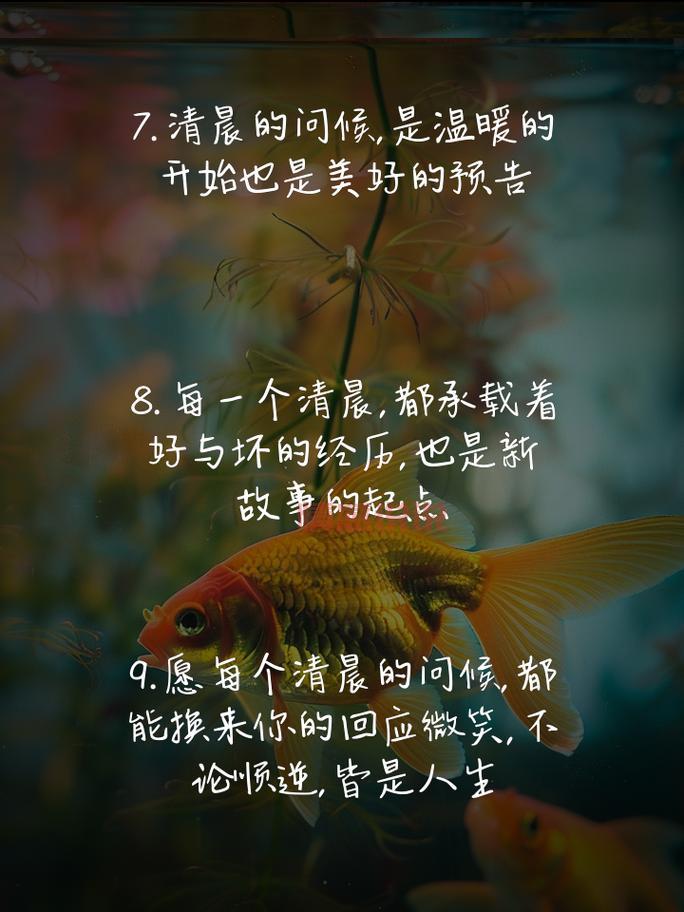 温暖心语说说：感受真情，传递温馨