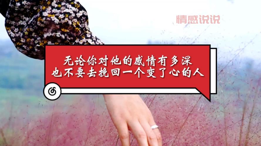 情感挽回说说精选：帮你重燃爱的希望