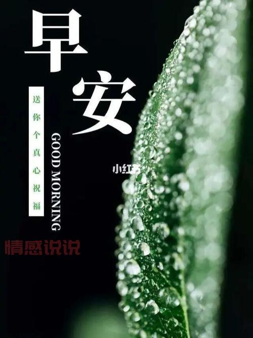 两性情感说说：如何走出感情误区，守护真爱