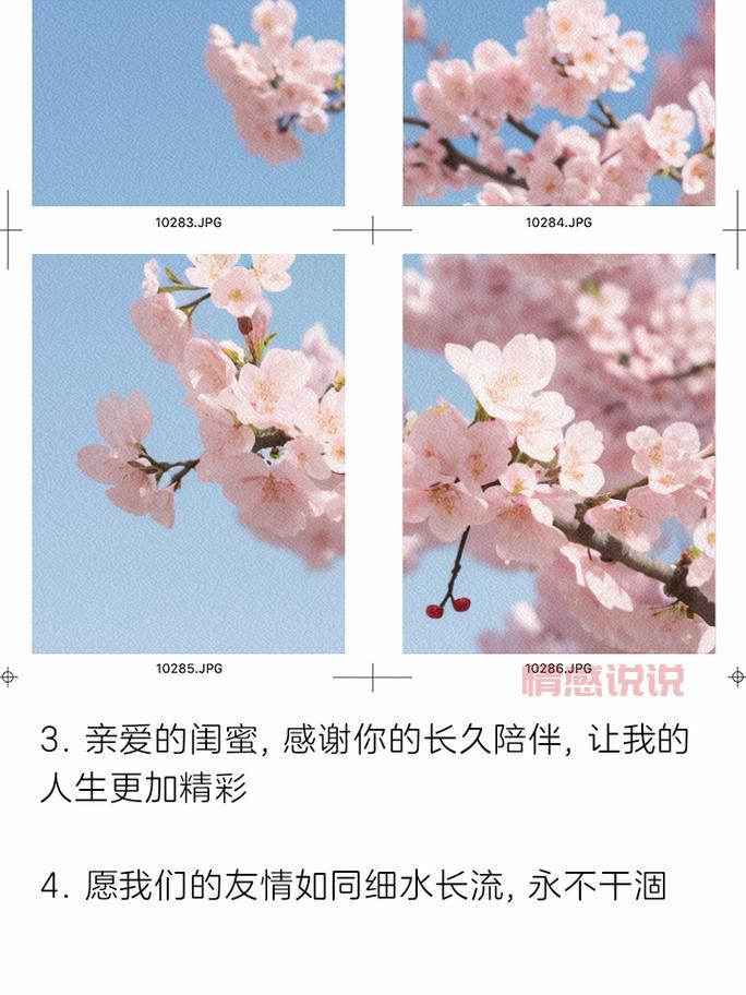 表达闺蜜心情的短语：深厚友情，温暖陪伴