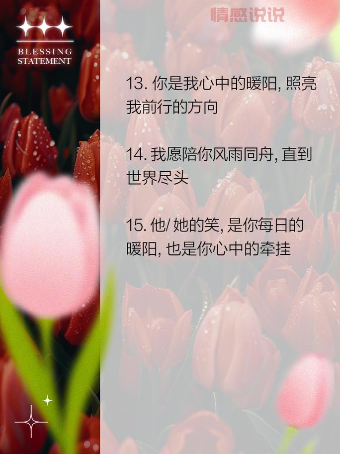 爱你的情感语录说说：句句暖心，打动你的心灵