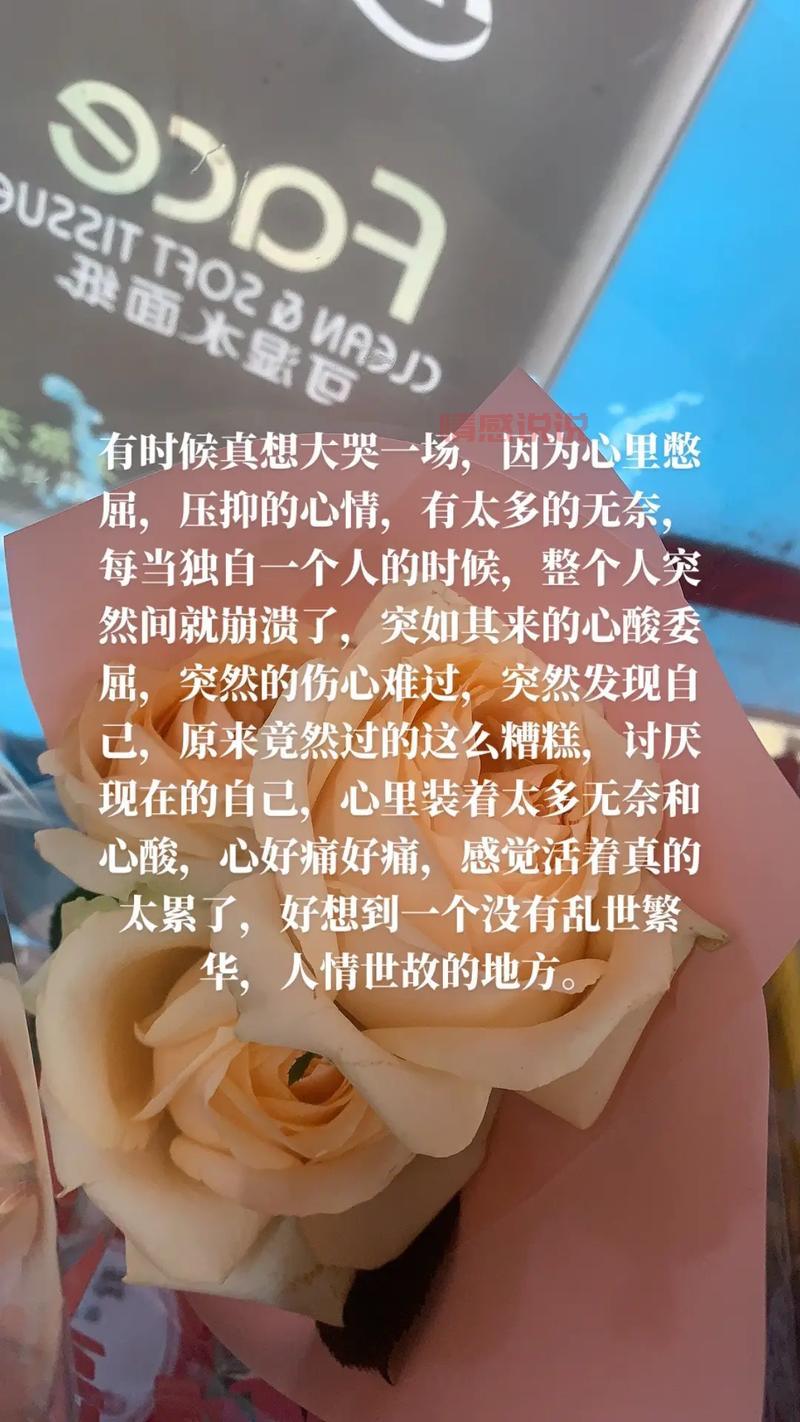 关于情感的那些心酸瞬间，你是否经历过？