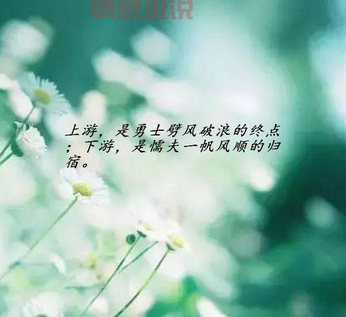 触动心灵的情感短语：表达最深沉的内心世界