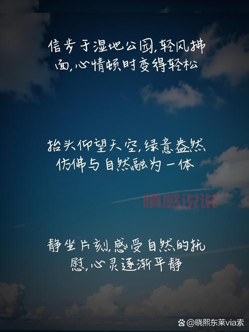 情感说说长：读懂内心深处，拥抱真实情感