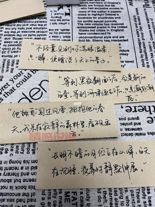 一段情感说说：不惧孤单，拥抱生命中的每一瞬