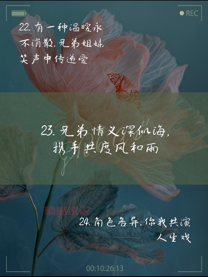 4个字情感说说：深情似海，爱意无尽