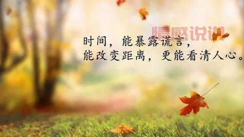 微信情感句子：那些触动心弦的心情说说