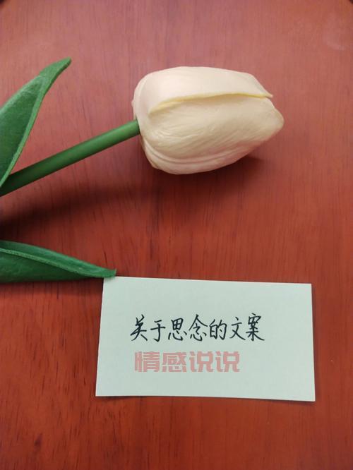 表达想你心情的短语集锦，记录最深情的思念