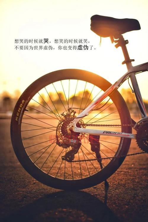 哲理情感句子：生活的思索与心情的温暖